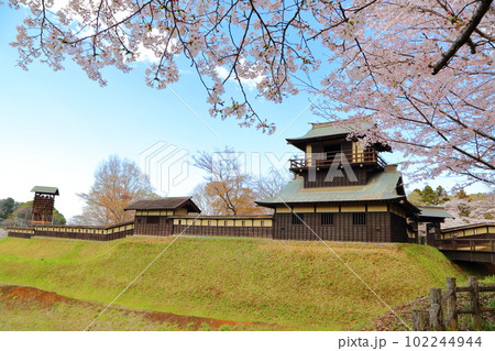 桜咲く逆井城趾ののどかな景色 102244944