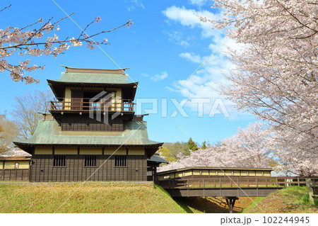 桜咲く逆井城趾ののどかな景色 102244945
