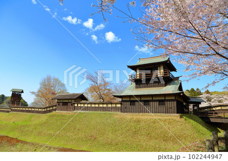 桜咲く逆井城趾ののどかな景色 桜咲く逆井城趾ののどかな景色 102244947