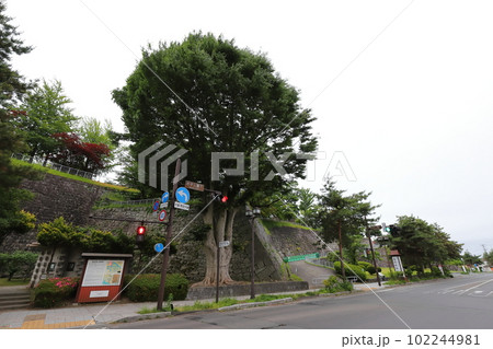 岩手　盛岡　岩手公園（盛岡城跡公園） 102244981