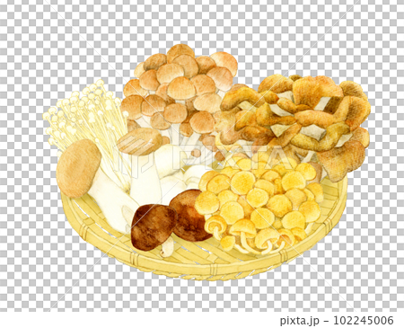 hand drawn illustration of mushrooms on bamboo colander 102245006