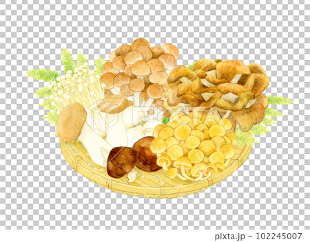 hand drawn illustration of mushrooms on bamboo colander 102245007