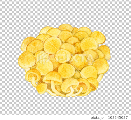 なめこ きのこの手描き水彩イラスト素材 なめこ きのこの手描き水彩イラスト素材 102245027