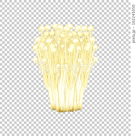 Enoki mushroom hand-painted watercolor illustration material 102245050