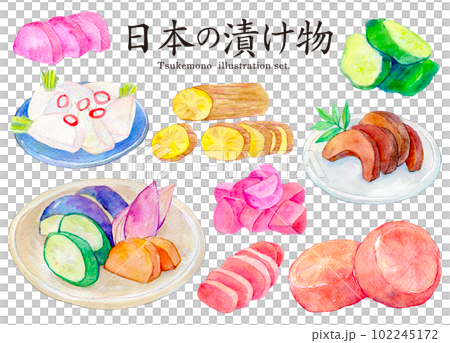 Japanese pickles watercolor illustration set hand-painted 102245172