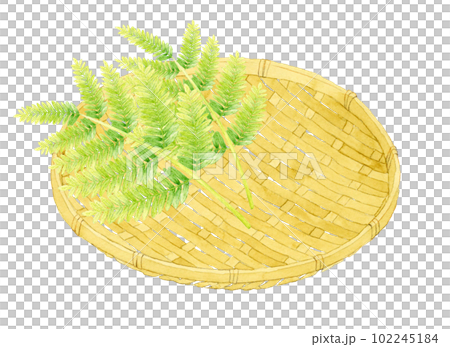 竹ざる 生活雑貨の手描き水彩イラスト素材 竹ざる 生活雑貨の手描き水彩イラスト素材 102245184