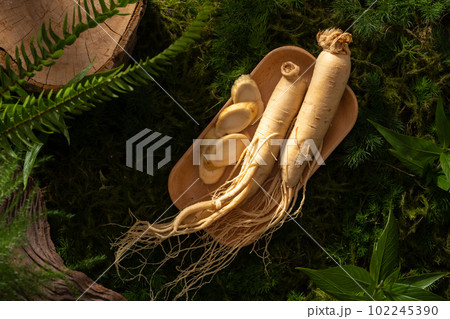Ginseng roots and slices on rectangle wooden plate on natural background with green moss, leaves and twig. Background with copy space for advertising product 102245390
