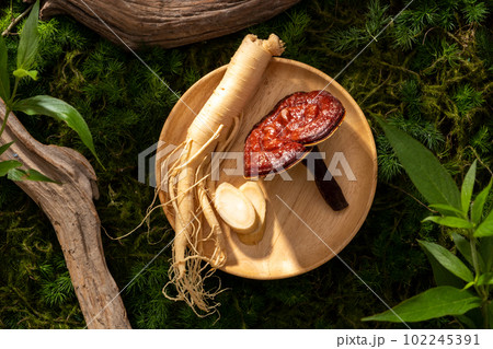 Scene for advertising product with herbal medicine ingredient. Ginseng root and reishi mushrooms on round wooden, twigs and leaves on green moss background. 102245391