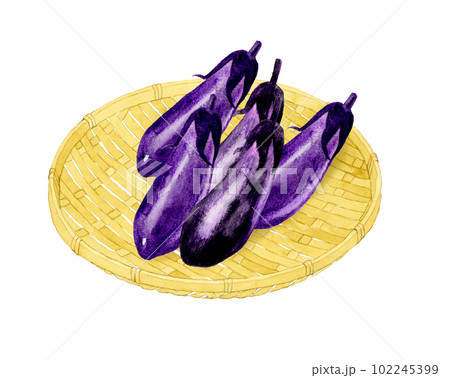 竹ざるに乗った茄子 野菜の手描き水彩イラスト素材のイラスト素材