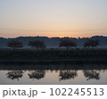 朝もやの桜 102245513