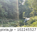 高千穂、後光がさした神秘的なパワースポットである岩戸 102245527