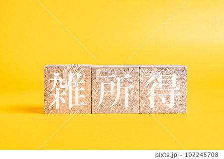 【経済】雑所得　確定申告 102245708