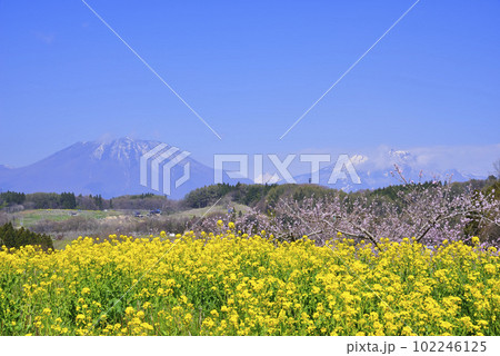 丹霞郷 丹霞郷 102246125