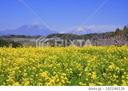 丹霞郷 丹霞郷 102246126