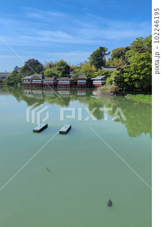 晴れの長岡天満宮八条ヶ池錦水亭 102246195