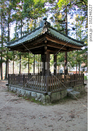 傘堂,真柱一本,奈良県指定有形民俗文化財,奈良県,二上山,当麻寺,葛城市,雌岳,当麻寺駅,近鉄南大阪 102246227