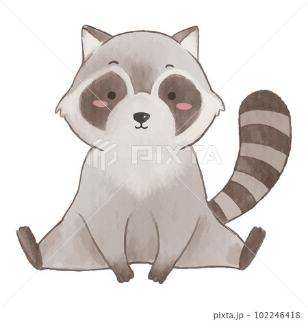 Common Raccoon | Anime-Planet