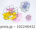 Watercolor painting vibrant color three flowers blooming various size on white textured paper 102246432