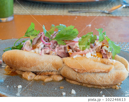 Close up shot of Mexician style sandiwch 102246613