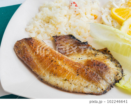 Close up shot of fried fish steak rice 102246641