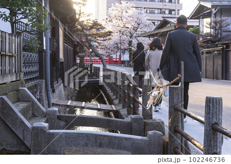 230410中橋界隈桜z093 102246736