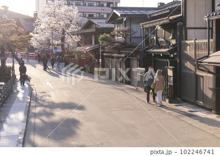 230410中橋界隈桜z058 102246741