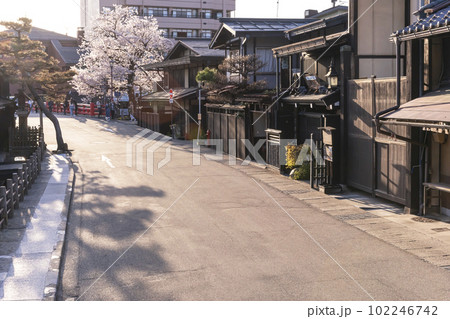 230410中橋界隈桜z051 102246742