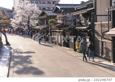 230410中橋界隈桜z013 102246747