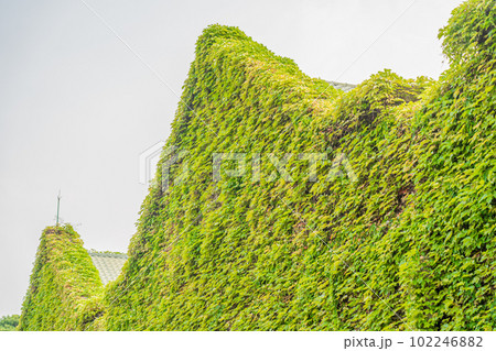 台湾 2023 台北 華山1914文化創意産業園区 台湾 2023 台北 華山1914文化創意産業園区 102246882