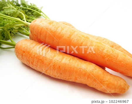 葉付き人参　美味しそうなオレンジ色 102246967