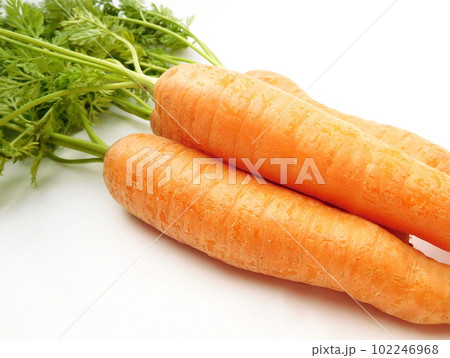 葉付き人参 美味しそうなオレンジ色 葉付き人参 美味しそうなオレンジ色 102246968