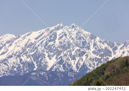 菜の花畑 信州 菜の花畑 信州 102247432