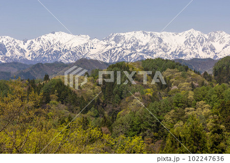 菜の花畑　信州 102247636