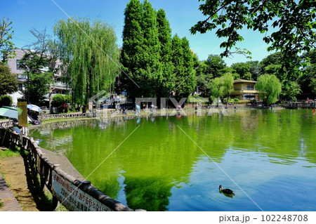 板橋区　見次公園 102248708