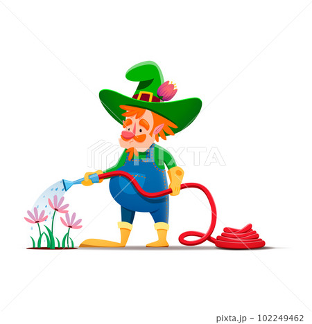Cartoon gnome or dwarf character watering flowers. Fairy elf, fantasy dwarf or garden midget comical isolated vector personage. Fairytale gnome farmer funny character watering spring flowers with hose Cartoon gnome or dwarf character watering flowers. Fairy elf, fantasy dwarf or garden midget comical isolated vector personage. Fairytale gnome farmer funny character watering spring flowers with hose 102249462