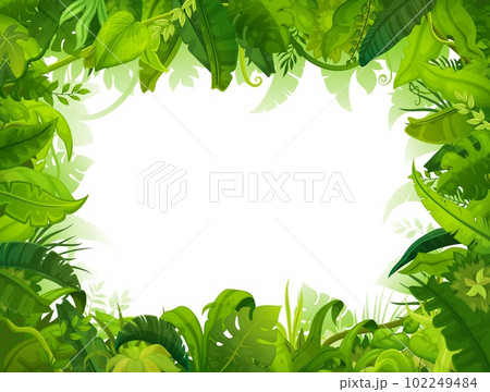 Cartoon jungle frame, green palm leaves background, vector tropical summer forest. Palm leaf and liana, rainforest jungle frame with blank background in jungle trees foliage and Amazon palm leaves 102249484