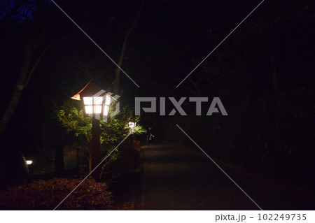 夜の坂道2 夜の坂道2 102249735