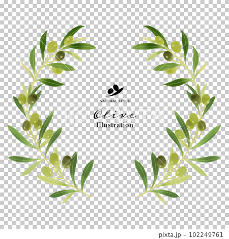 橄欖枝水彩插圖圓框 橄欖枝水彩插圖圓框 102249761