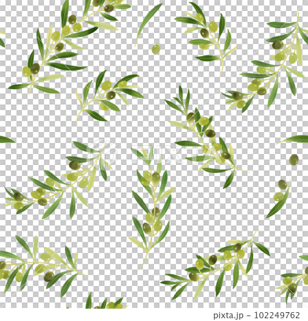 水彩插圖無盡的橄欖和樹枝圖案 102249762