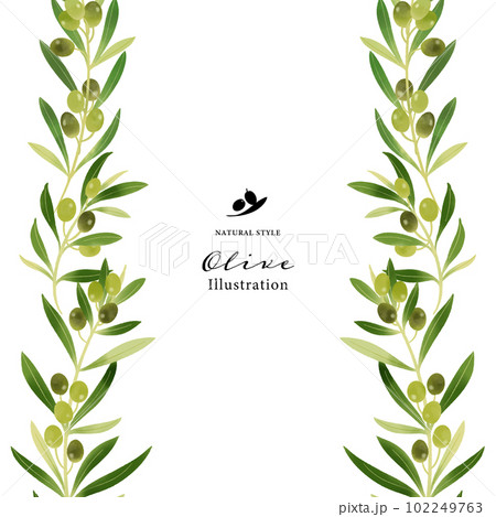 オリーブの枝の水彩イラスト・ガーランド風 102249763