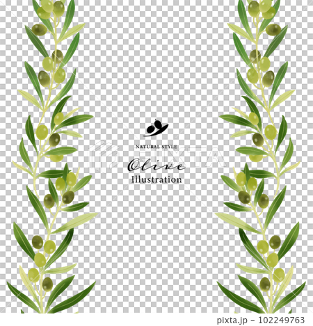 オリーブの枝の水彩イラスト・ガーランド風 102249763