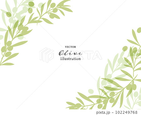 オリーブの枝のベクターイラスト・フレーム 102249768