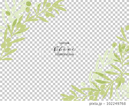 オリーブの枝のベクターイラスト・フレーム 102249768