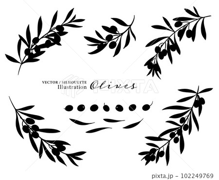 オリーブの実と枝のベクターイラスト・シルエット 102249769