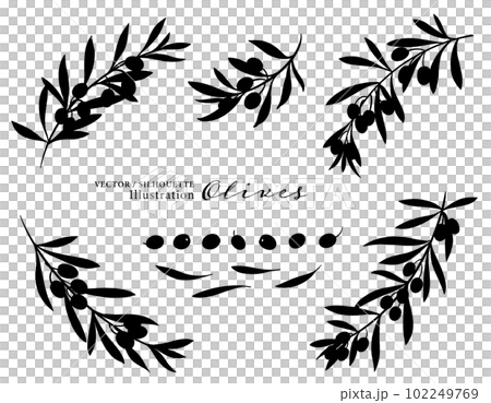 オリーブの実と枝のベクターイラスト・シルエット 102249769