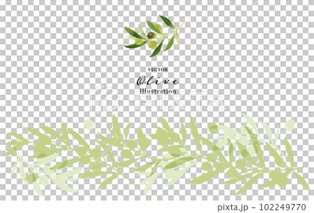 Vector illustration of olive branch Garland style Vector illustration of olive branch Garland style 102249770
