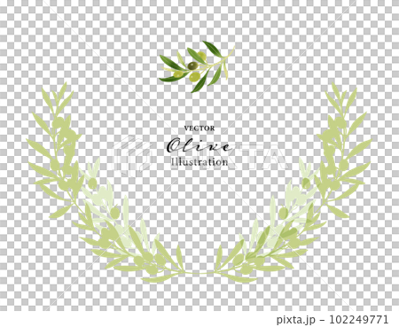 橄欖枝矢量圖，裝飾邊框 102249771
