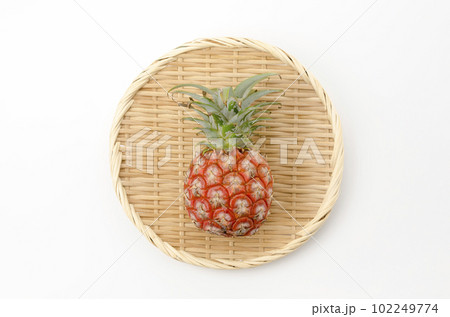 ピーチパイン(ソフトタッチ)石垣島産パイナップル ピーチパイン(ソフトタッチ)石垣島産パイナップル 102249774