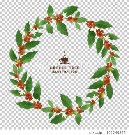 咖啡樹水彩插圖圓框 102249825