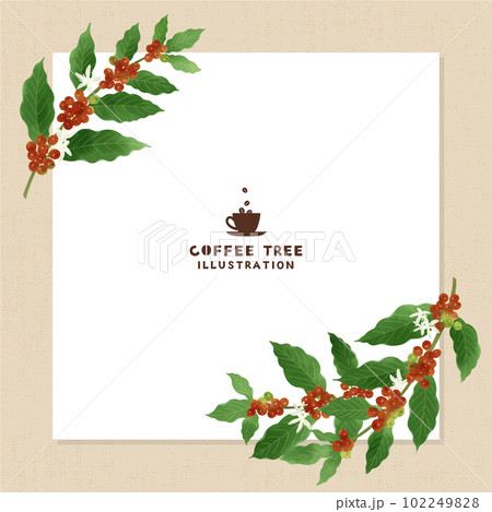 コーヒーの木の水彩イラスト・ボード風-1 コーヒーの木の水彩イラスト・ボード風-1 102249828